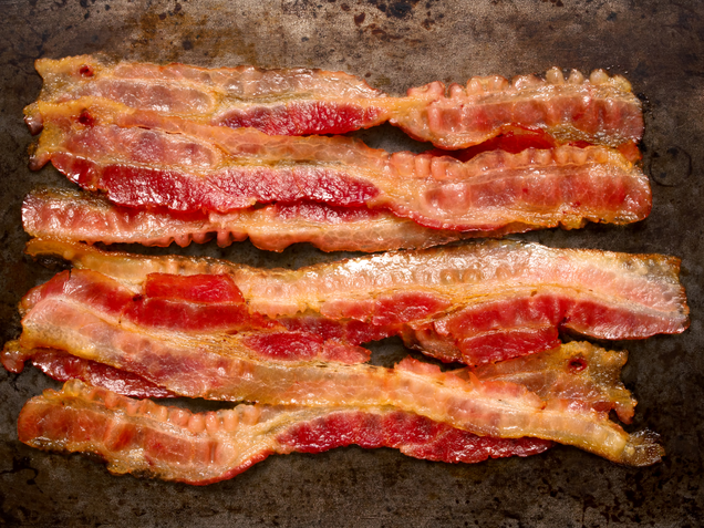 Illustration for article titled 6 Pieces Of Meat I Have Seen, Held, And In One Case, Gone On Vacation With